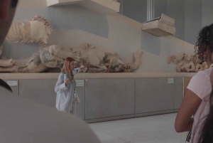 アテネ：アクロポリス早期入場&博物館ガイドツアー