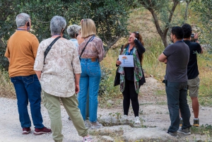 Athen:Akropolis - Rundgang durch das historische Zentrum auf Spanisch