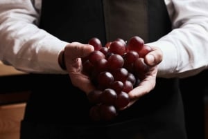 Афины: дегустация вин Акрополя с сыром и оливками