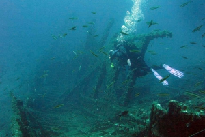 Athens: Adventure Dives in Nea Makri for Certified Divers