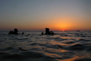 Atenas: mergulhos de aventura em Nea Makri para mergulhadores certificados