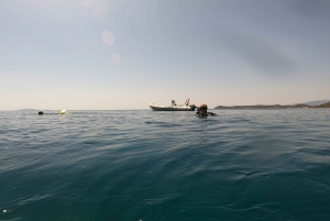 Athènes : Plongées aventure à Nea Makri pour les plongeurs certifiés