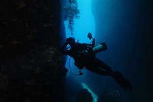Athene: avontuurlijke duiken in Nea Makri voor gecertificeerde duikers