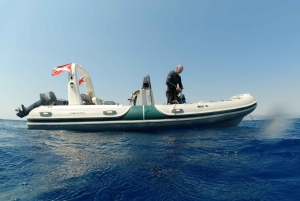 Athen: Dykning i Nea Makri for certificerede dykkere: Adventure Dives in Nea Makri