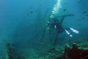 Atenas: mergulhos de aventura em Nea Makri para mergulhadores certificados