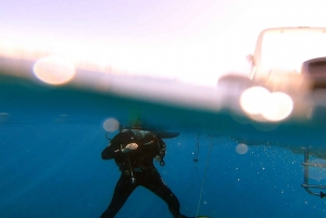 Athènes : Plongées aventure à Nea Makri pour les plongeurs certifiés
