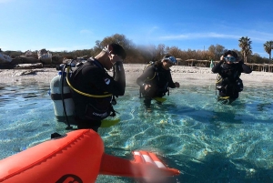 Atenas: Mergulhos de aventura em Nea Makri para mergulhadores certificados