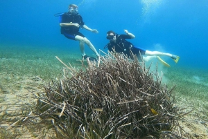 Ateena: Nea Makriin seikkailusukellukset sertifioiduille sukeltajille.