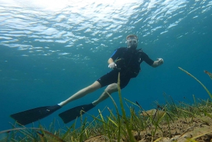 Ateena: Nea Makriin seikkailusukellukset sertifioiduille sukeltajille.