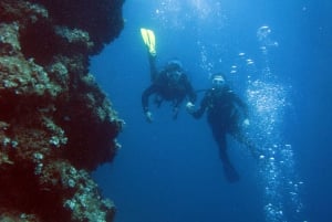 Athens: Adventure Dives in Nea Makri for Certified Divers