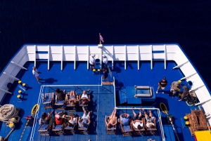 Atenas: cruzeiro de natação Aegina, Agistri e Metopi com almoço