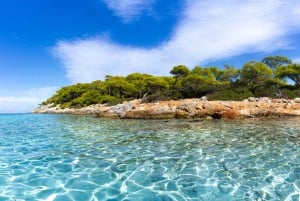 Ateny: Rejs pływacki po Eginie, Agistri i Metopi z lunchem