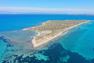 Ateena: Aegina, Agistri & Metopi uinti risteily lounaalla.