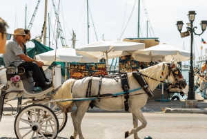 Aten: Aegina, Agistri og Metopi svømmecruise med lunsj