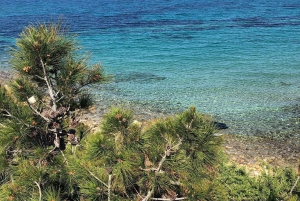 Athen: Premium guidet tur til Aegina med en lille gruppe