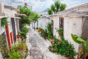 Athen: Guidet tur til det arkæologiske museum og den gamle bydel