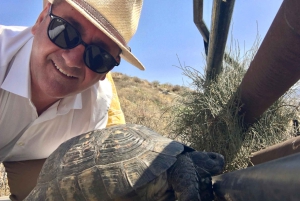 Athen: Athenische Riviera Private Tour mit dem Van