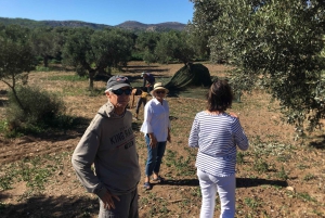 Athen: Athenische Riviera Private Tour mit dem Van