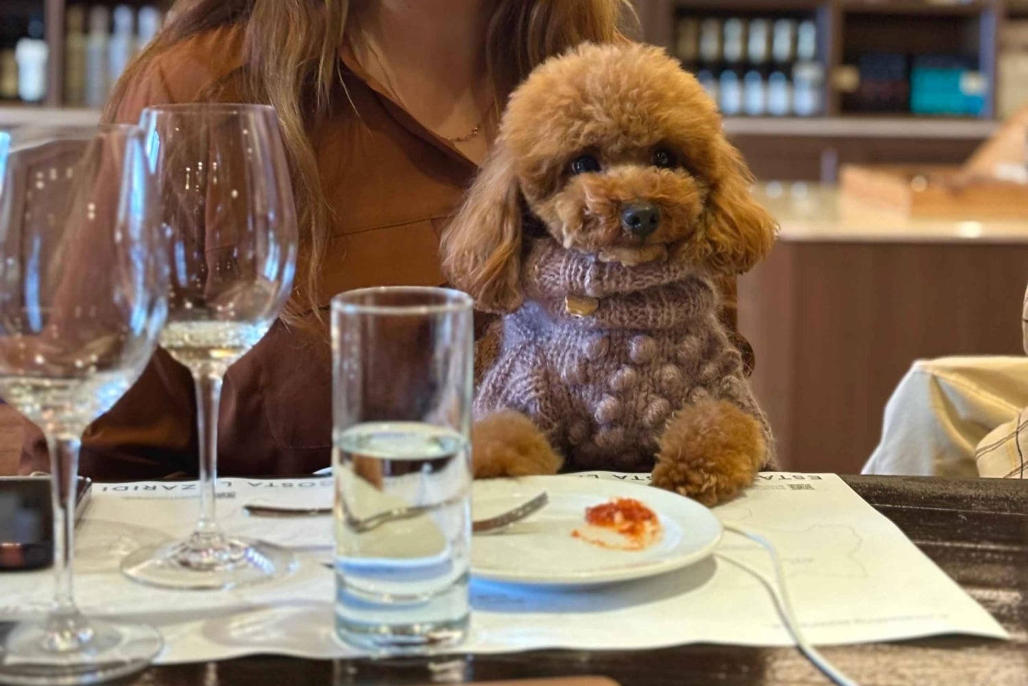 Athen: Vinsmagningstur i Athen med morgenmad og museumsbesøg