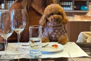 Athen: Vinsmagningstur i Athen med morgenmad og museumsbesøg