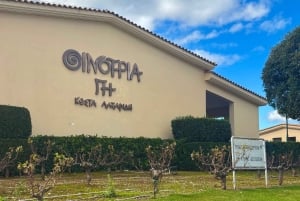 Athen: Vinsmagningstur i Athen med morgenmad og museumsbesøg