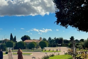 Athen: Vinsmagningstur i Athen med morgenmad og museumsbesøg