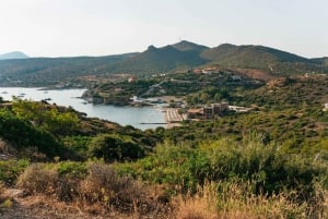 Athene: Dagtrip Kaap Sounion en Tempel van Poseidon bij zonsondergang