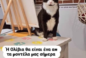 Athene: Cat Café Paint & Sip Experience