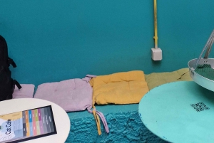 Athen: Besuch im Katzencafé mit Getränk und Süßem