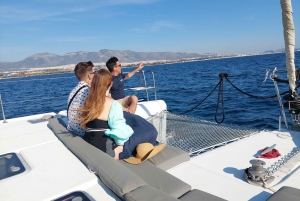 Atenas: Cruzeiro de catamarã com almoço leve e vinho