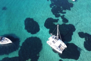 Atenas: Cruzeiro de catamarã com almoço leve e vinho