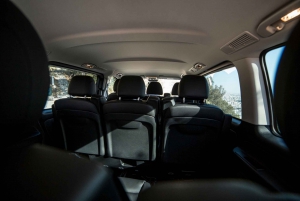 Athens City and Cape Sounio Full Day Private Tour