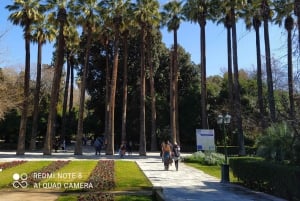 Tour a pie por el centro de la ciudad de Atenas