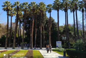 Wandeltour door het stadscentrum van Athene