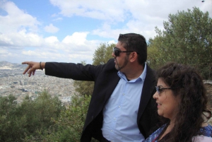 Athens: City Highlights Private Tour with Temple of Poseidon
