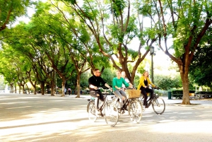 Athens: City Highlights Tour on a Dutch Bicycle