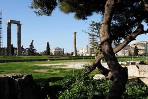 Athens: City Tour with Local Licensed Guide, Local Expert