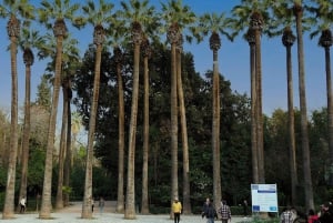 Athens: City Tour with Local Licensed Guide, Local Expert