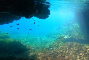 Athens: Cliff Diving Boat Trip in Nea Makri