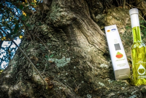 Athen: Smaksprøver av kretisk olivenolje