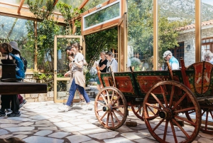Athens: Delphi Day Trip with Licensed Guided Tour and Pickup