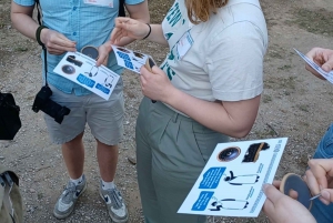 Athens: Democracy Experiential Workshop on Pnyx hill