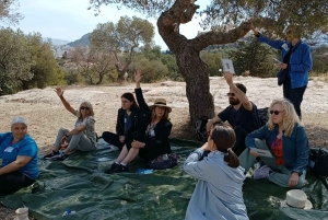 Athens: Democracy Experiential Workshop on Pnyx hill