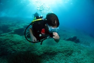 Athen: Entdecken Sie das Tauchen für Anfänger