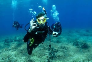Atenas: Descubre la Experiencia de Buceo para Principiantes