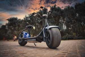 Athens: Parthenon, Agora, Acropolis E-Bike Guided Tour