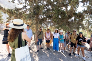 Athènes : Visite guidée de l'Acropole et des musées en début de matinée