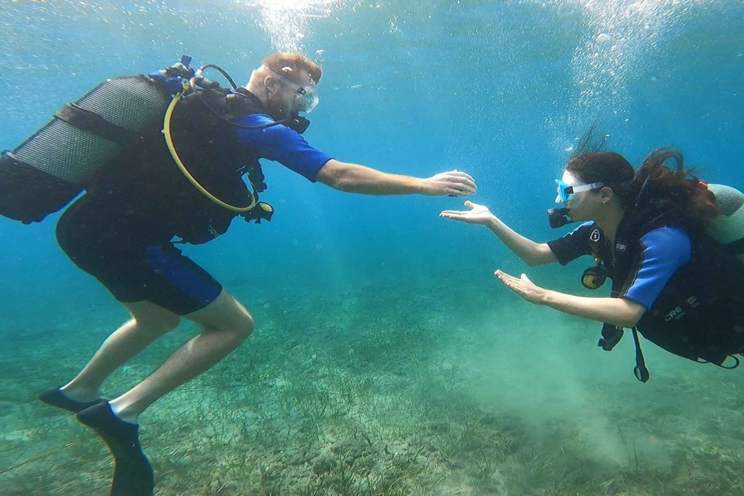 Atens østkyst: Oppdag dykking i Nea Makri