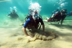 De oostkust van Athene: Ontdek duiken in Nea Makri