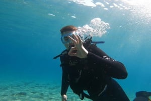 Athens østkyst: Oplev dykning i Nea Makri
